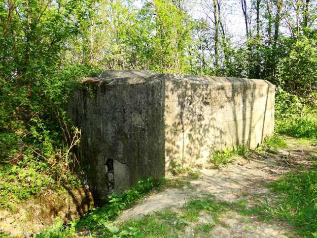 Bunker_in_Czchów,_near_Czchów_Castle